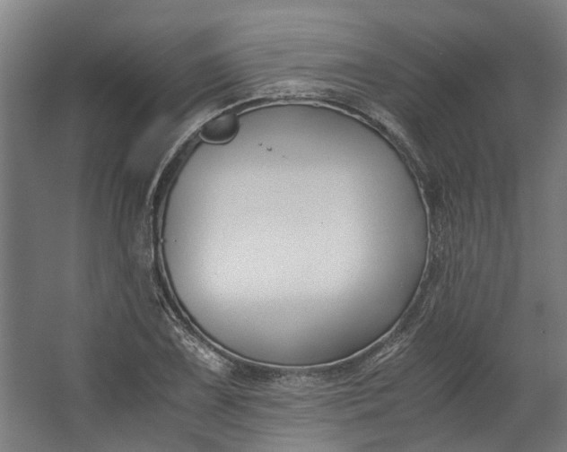 X0000062601075200601040907