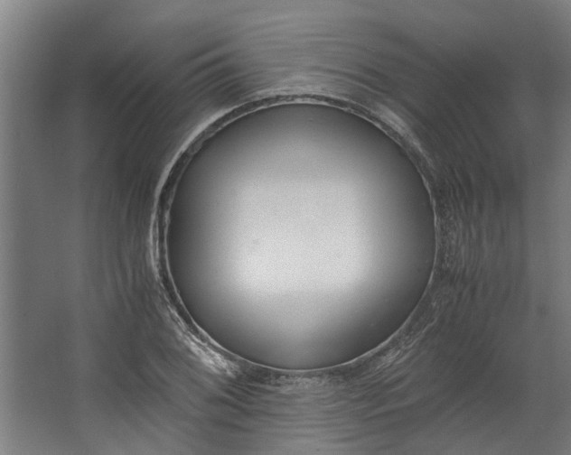 X0000062601076200601040907