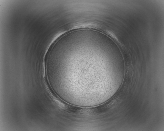 X0000062601079200601040907