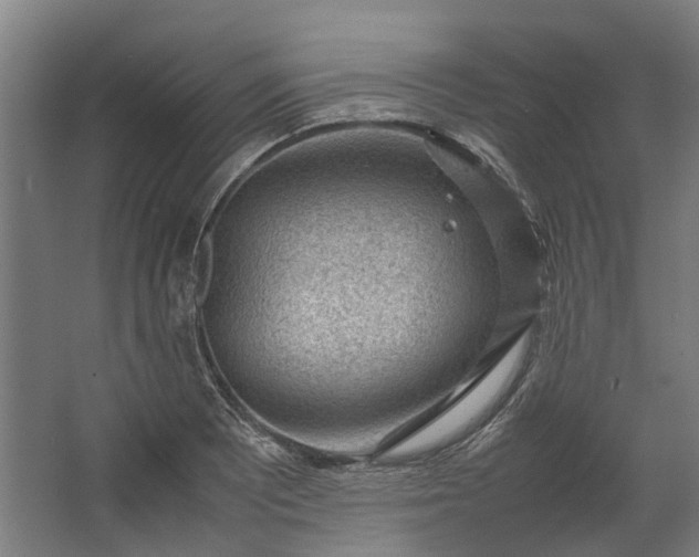 X0000062601081200601040907