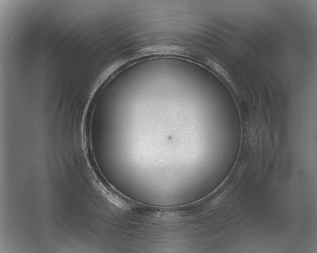 X0000062601082200601040907