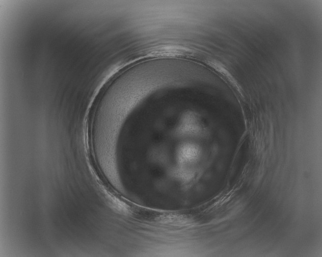 X0000062601083200601040907