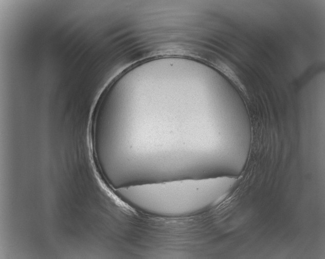 X0000062601084200601040907