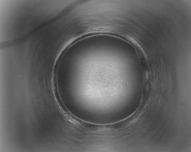 X0000062601085200601040907