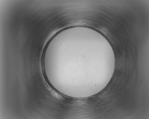 X0000062601086200601040907