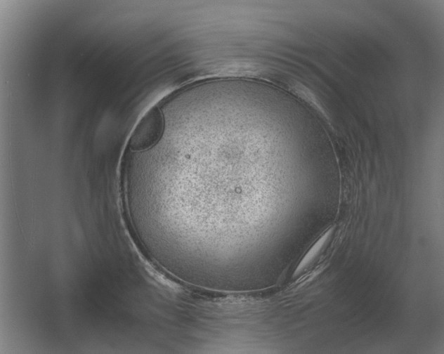 X0000062601087200601040907