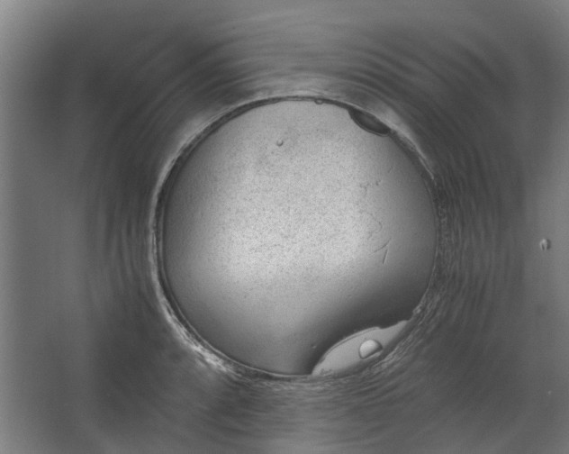 X0000062601088200601040907