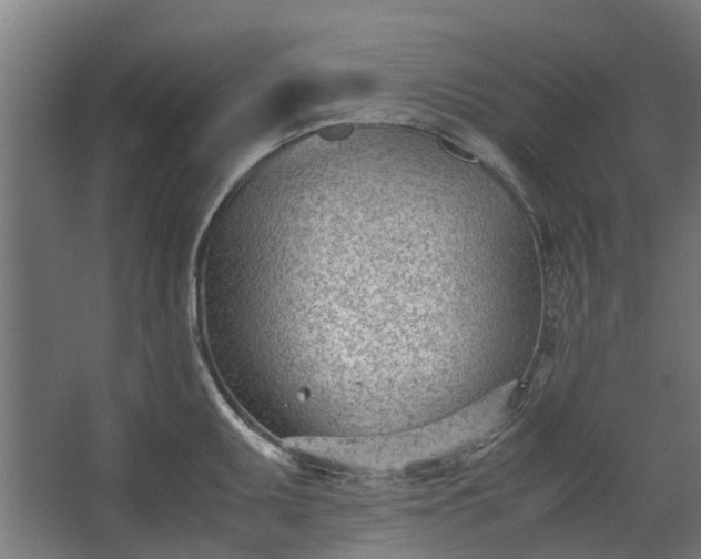 X0000062601095200601040907