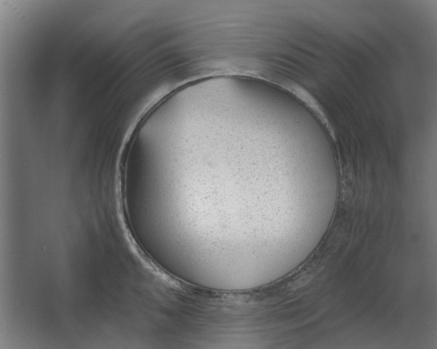 X0000062601096200601040907