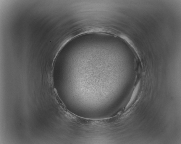 X0000062601097200601040907