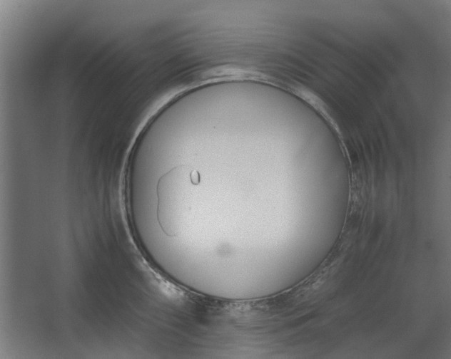 X0000062601098200601040907