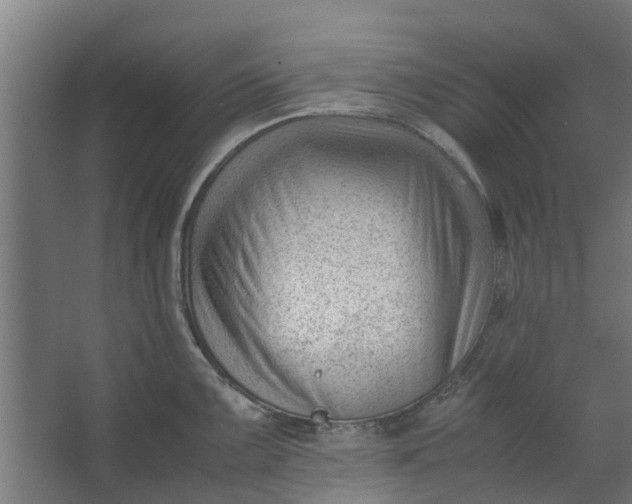 X0000062601099200601040907