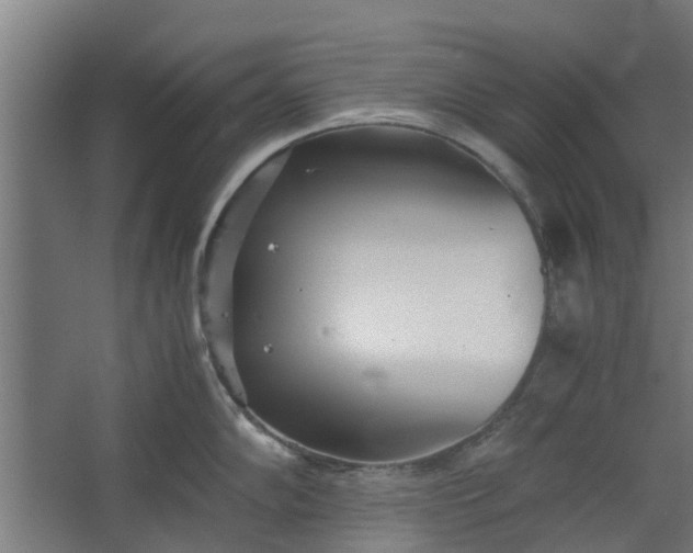 X0000062601102200601040907