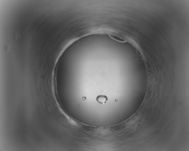 X0000062601103200601040907