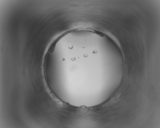 X0000062601104200601040907