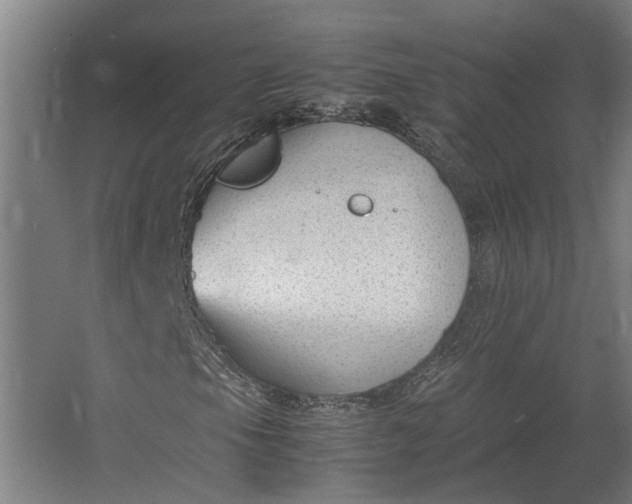 X0000062601105200601040906