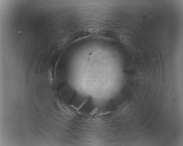 X0000062601106200601040906