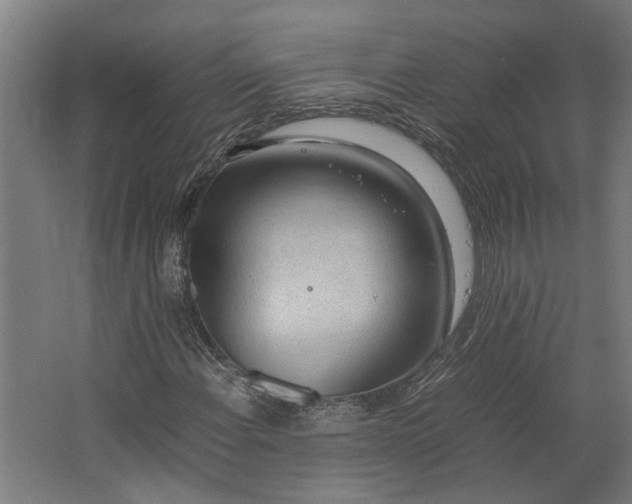 X0000062601108200601040906