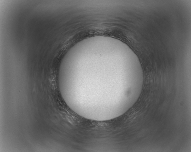 X0000062601109200601040906