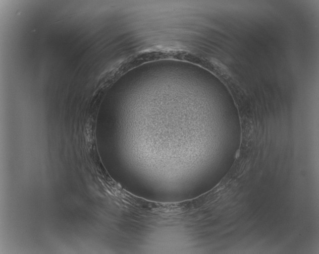 X0000062601110200601040906