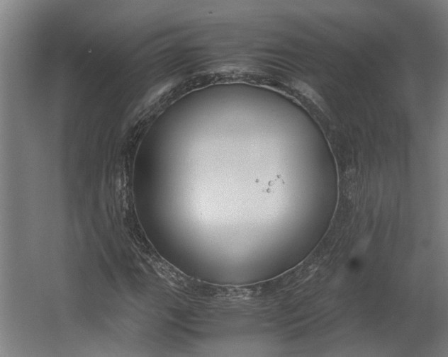 X0000062601111200601040906