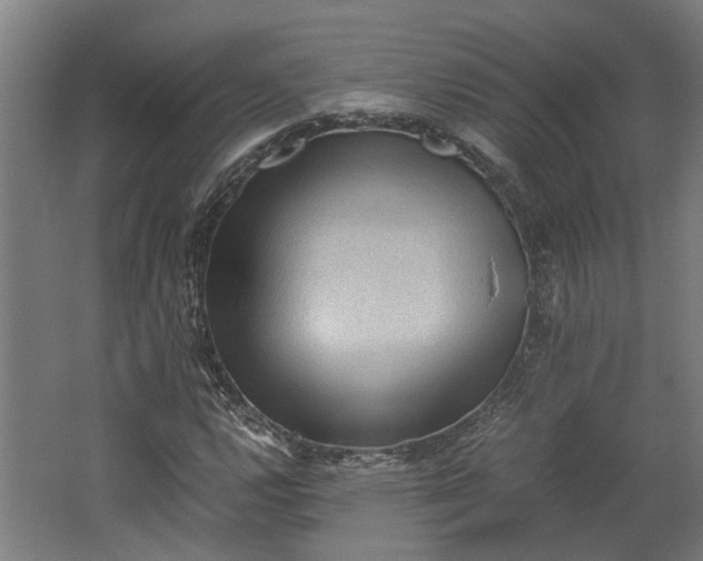 X0000062601112200601040906