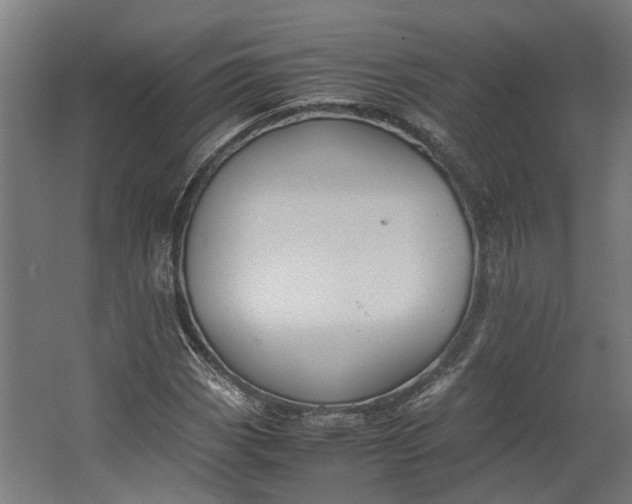 X0000062601113200601040906