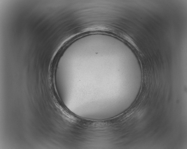 X0000062601116200601040906