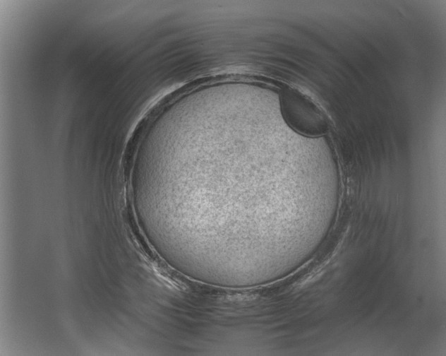 X0000062601117200601040906