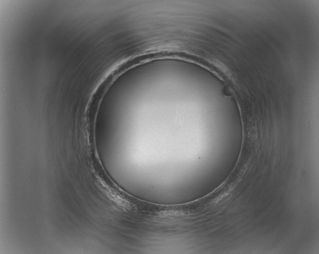 X0000062601118200601040906