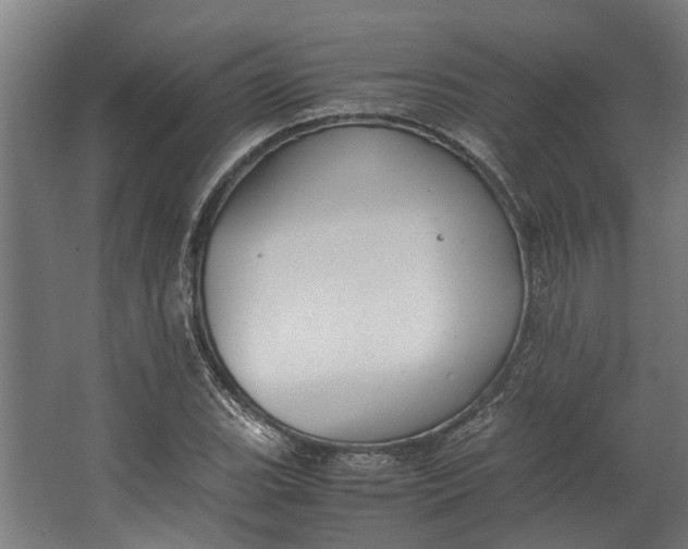 X0000062601119200601040906