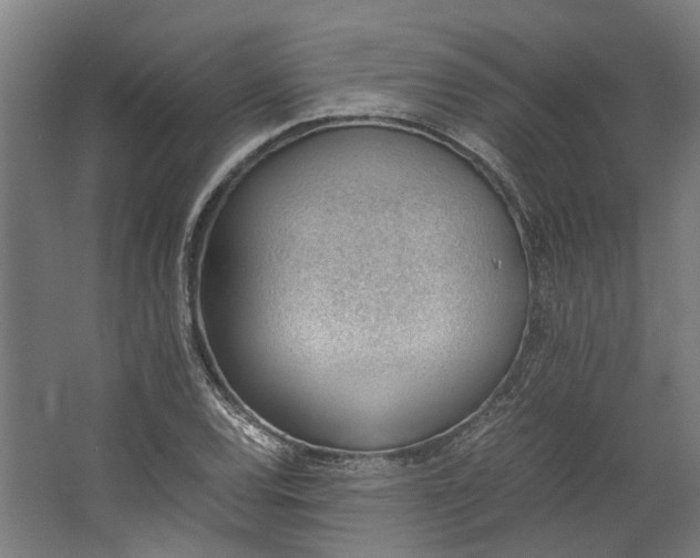 X0000062601120200601040906