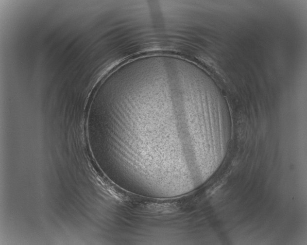 X0000062601121200601040906