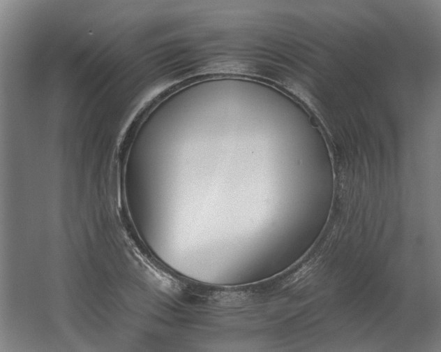 X0000062601123200601040906