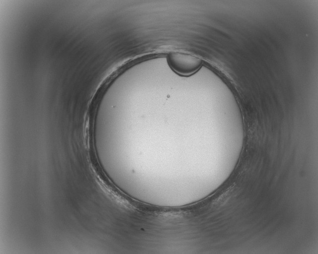 X0000062601126200601040906