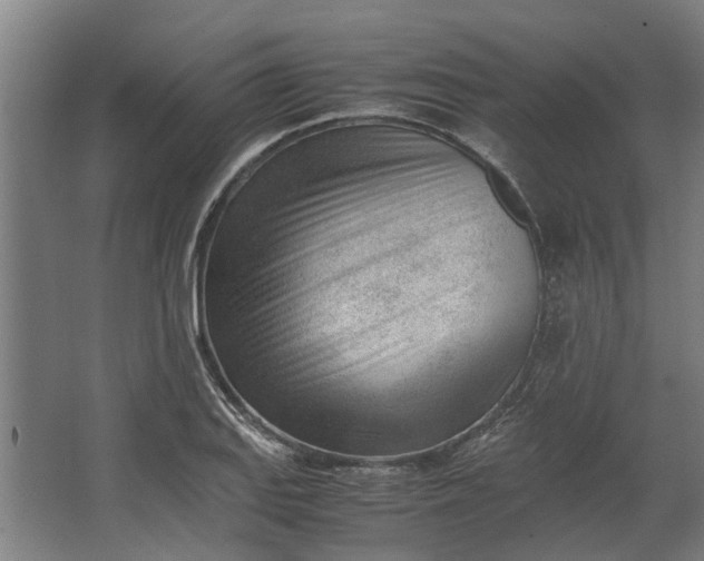 X0000062601127200601040906