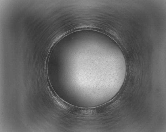 X0000062601129200601040906