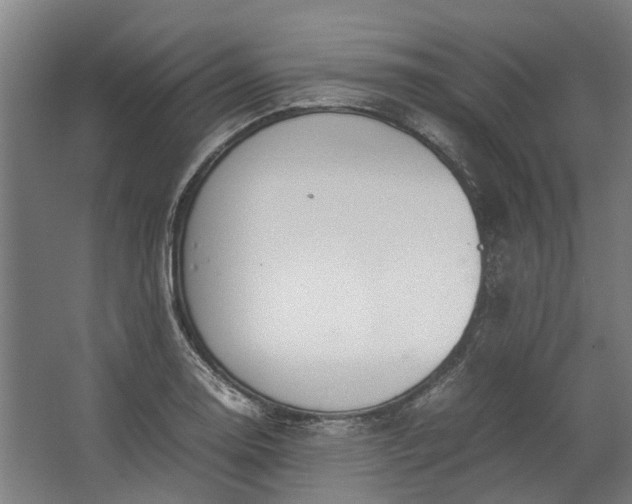 X0000062601130200601040906