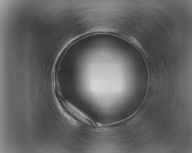 X0000062601132200601040906