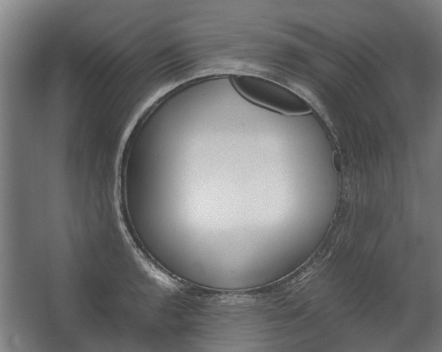 X0000062601136200601040907