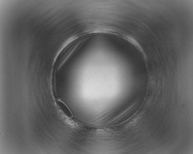 X0000062601138200601040907