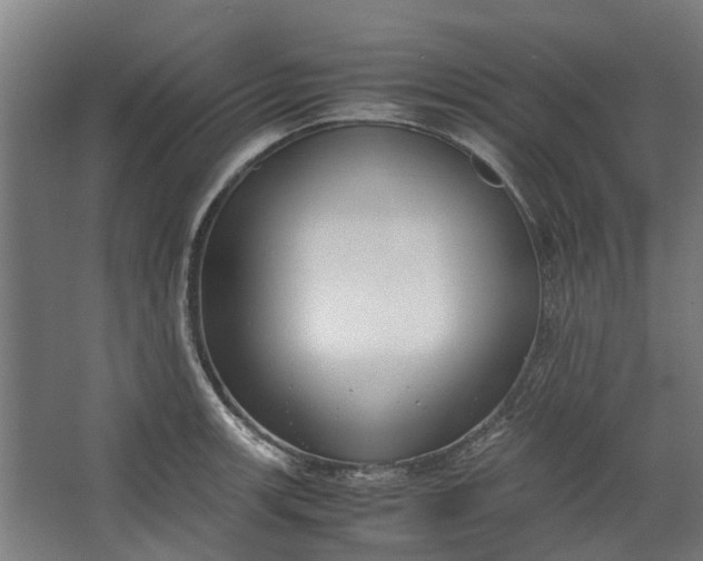 X0000062601139200601040907