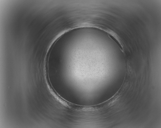 X0000062601142200601040907