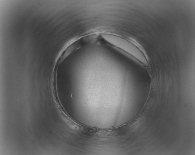 X0000062601146200601040907