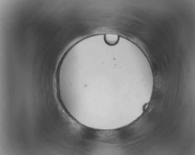 X0000062601150200601040907