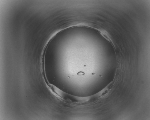 X0000062601151200601040907