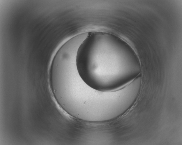 X0000062601152200601040907