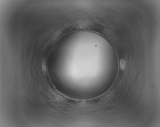 X0000062601155200601040906