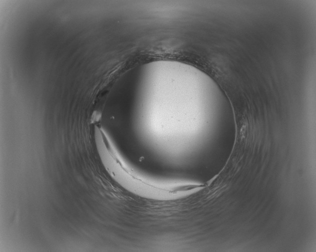 X0000062601156200601040906