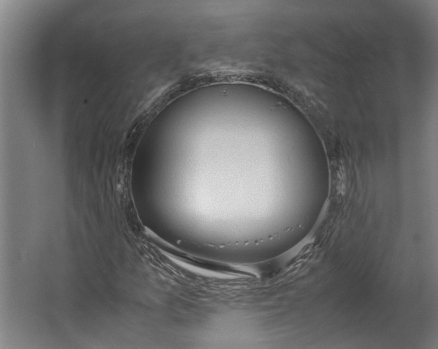 X0000062601157200601040906